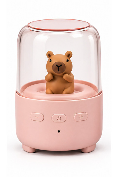 OEM Mini Bluetooth ηχείο Kawaii με USB και φωτισμό, σχέδιο αρκουδάκι ροζ T-251