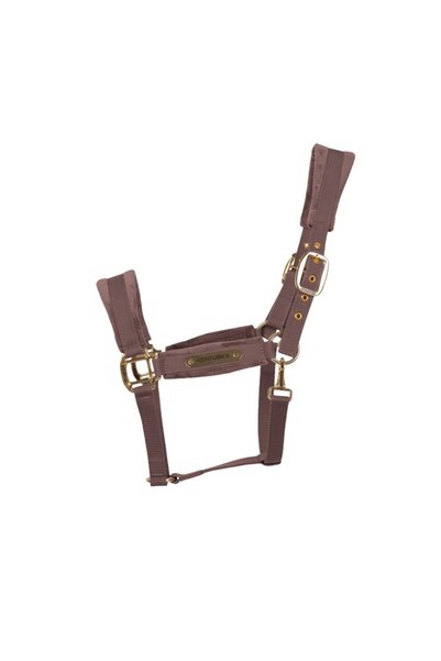 Kentucky Șa de cal din velur moale, elegantă, mov, mărimea COB