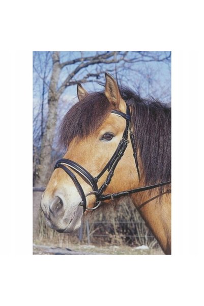 KERBL COVALLIERO Accesorii pentru cap de cal negre, standard, tip PONY
