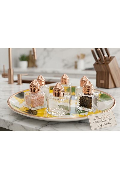 LOVYCO 6-Piece Stylish Rose Gold Glass Spice Jar Set - Dowry Desktop Salt Sha...