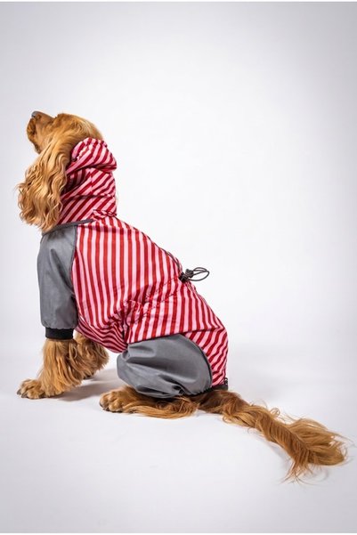 Moab ™   Drypack Dog Raincoat, Collar and Harness Compatible, Reflective, Easy to Wear Waterproof Back Zipper, 4 Leg Overalls
