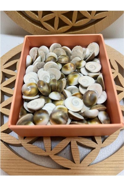 BERAT Yalancik Stone - Natural Stone - Male and Female Stones Mixed - 10 Pieces - Natural Yalancik Stone - Small Size