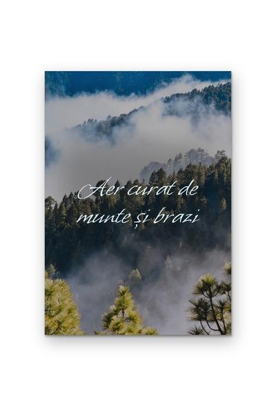 OEM Poster Carton Aer curat de munte și brazi, Citat motivațional natură, 250...
