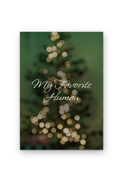 OEM Poster Cardboard 250g A4, Quote My Favorite Man, Wall Decor