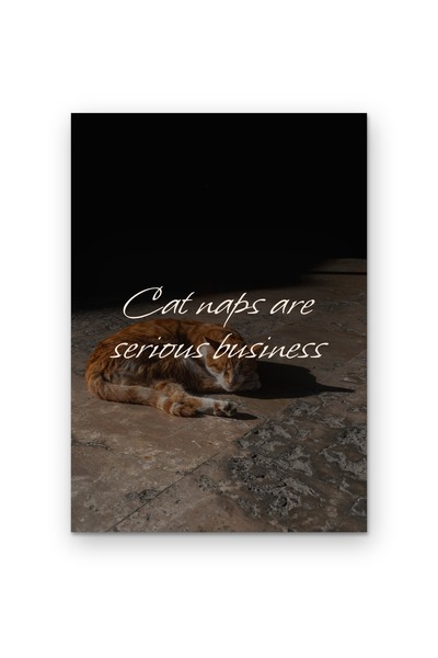 OEM Poster decorativ Somnul pisicii este o treaba serioasa, Mesaj motivationa...