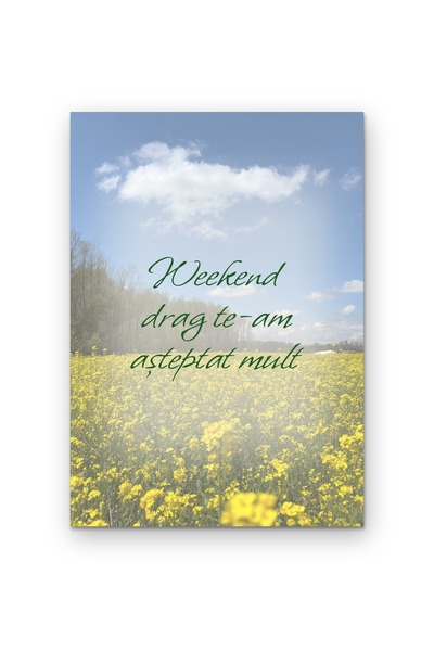 OEM Decorative Poster Weekend Dear I've Been Waiting For You Long, Minimalist...