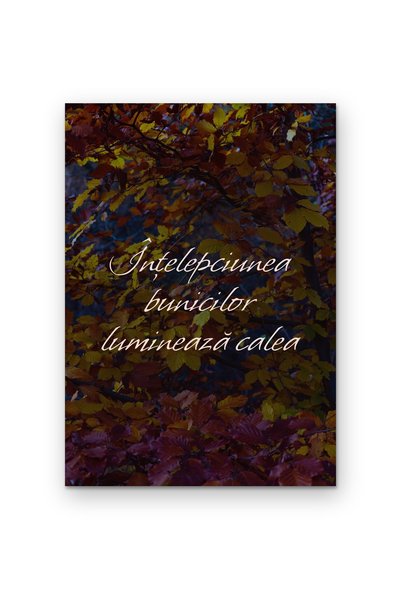 OEM Poster Decorativ Înțelepciunea Bunicilor, Mesaj Inspirațional, Carton 250...
