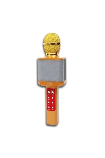 OEM Ασύρματο bluetooth μικρόφωνο με ενσωματωμένο ηχείο, karaoke και disco lig...