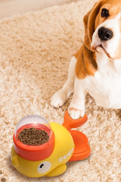 ThenTech Kedi Köpek Eğitici Öğretici Mama Hazneni Yeni Nesil Oyuncak Köpek Zihin Geliştirici Oyuncak
