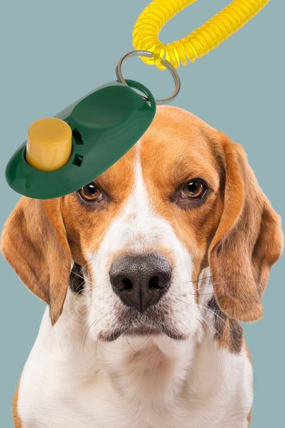 ThenTech Askılı Kırmızı Köpek Eğitim Clickeri 6x3 cm Yüksek Ses Uyarı Sesi Köpek Eğitim Aleti