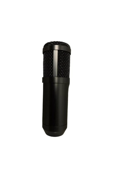OEM Μικρόφωνο επαγγελματικό ηχογράφησης Vocal Studio