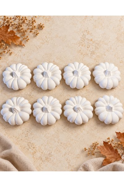magnocandles 8 Adet Büyük Boy Bal Kabağı- Munchkin Kabak Taş Boyama Seti - Ai...