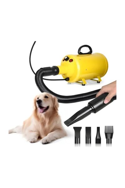 catzone مجفف للقطط