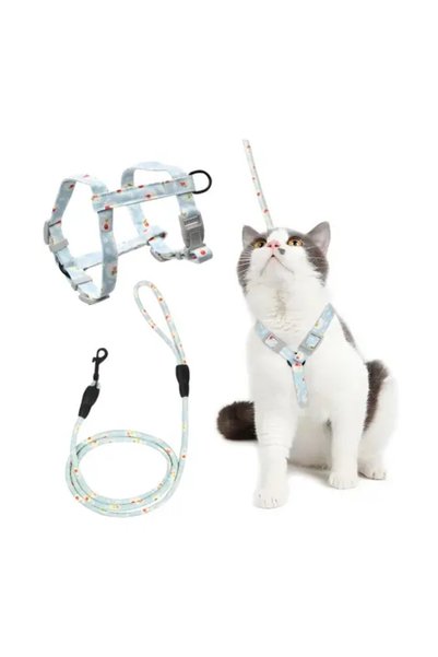 catzone Cat harness with leash