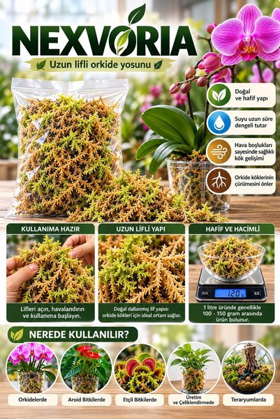 NEXVORİA Uzun Lifli Orkide Yosunu 1 Litre – Doğal Sphagnum Yosunu, Nem Tutucu...