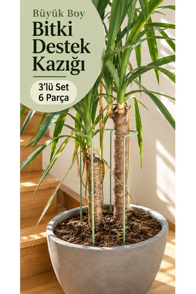Forada Home & Style Bitki Destek Kazığı 6 Adet Büyük Boy 40 cm