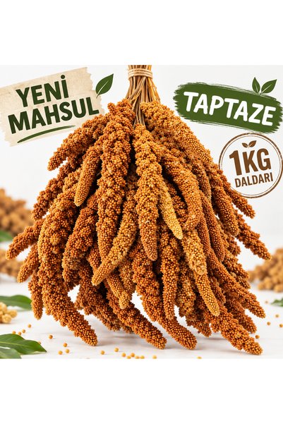 AlaPet Kızıl Dal Darı 1 Kg Muhabbet Kuş Yemi - Papağan Yemi - Yeni Mahsül Dal...