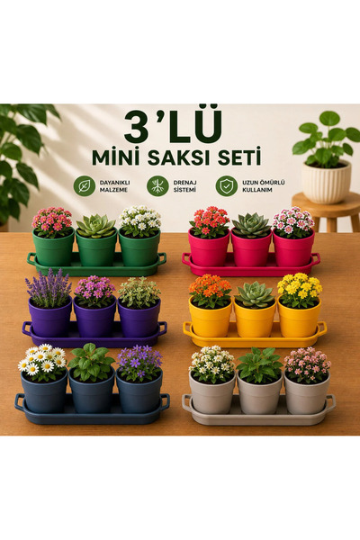buluthomes 3 lü Mini Tepsili Saksı Seti Manolya 7 Triple Dekoratif Plastik Çi...