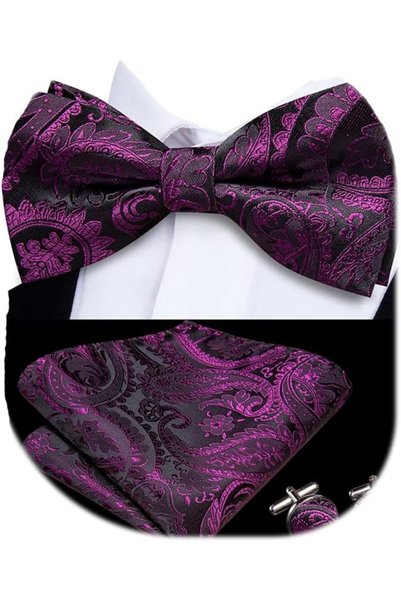 Dubulle Mens Paisely Silk Tie for Men Necktie and Pocket Square Set