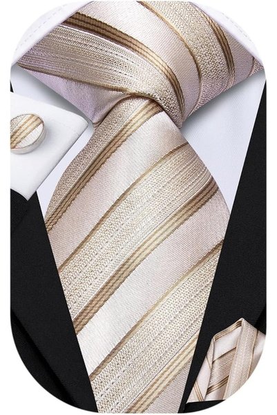 Dubulle Mens Paisely Silk Tie for Men Necktie and Pocket Square Set