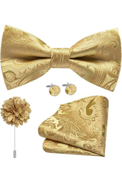 Dubulle Mens Paisely Silk Tie for Men Necktie and Pocket Square Set
