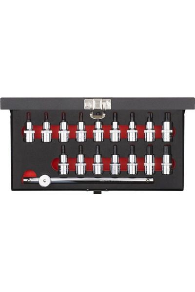 CETA FORM 17 PieCe Allen set - 1/2" Torx and soCket, C28s-17pth