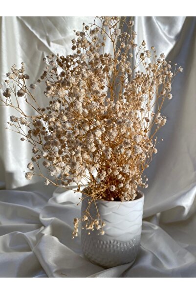 AFAM HEDİYELİK Beyaz Desenli Seramik Bitki & Orkide Saksısı