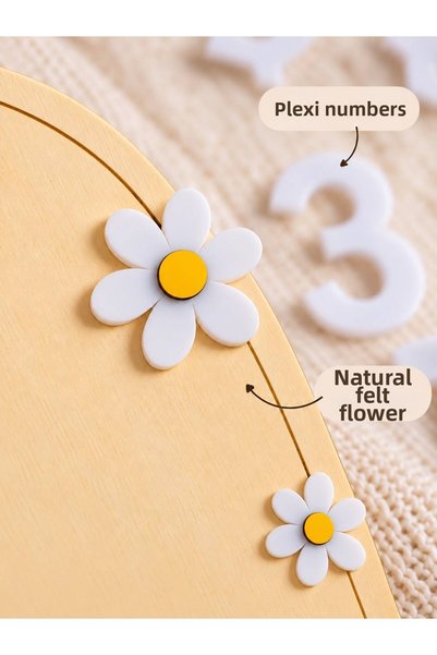 SOLIS DESIGN Baby 12 Month Memory Cards |   Natural Birch Contra and Plexi Numbered Baby Memory Disc