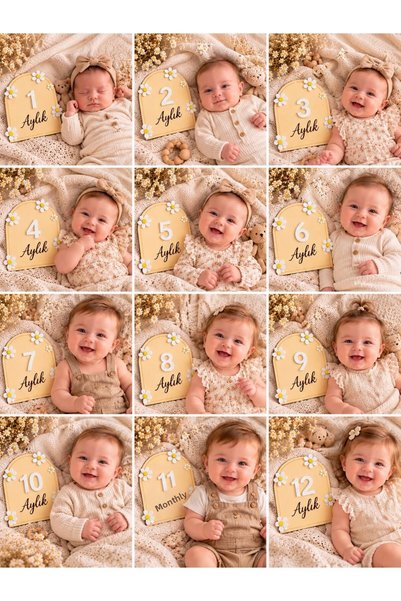 SOLIS DESIGN Baby 12 Month Memory Cards |   Natural Birch Contra and Plexi Numbered Baby Memory Disc