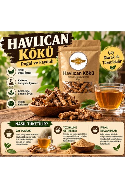 İLMİ ŞİFA Havlıcan Kök (Havlıcan Kökü – Galangal Root – Alpinia galanga) Doğa...