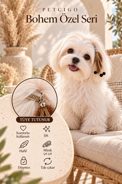 PETCIGO Köpek Tüyü & Köpek Tokası Bohem Özel Seri Tüm Cinsler ve Tüyler İçin ...