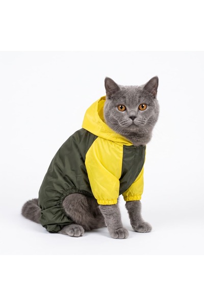 Buddy Store Light – Sarı & Haki Kedi Yağmurluğu (Astarsız)