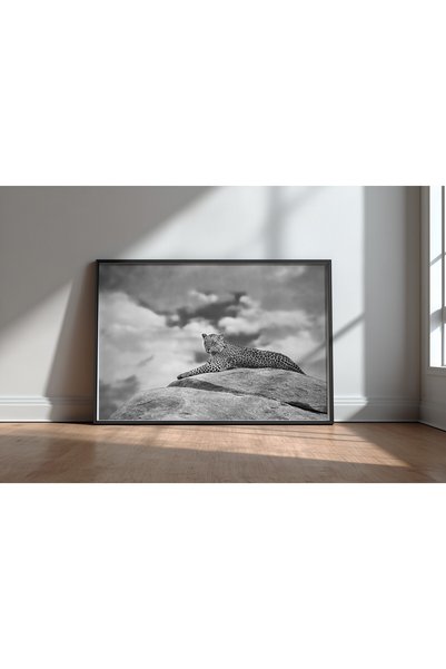 KEYFHOME Leopard pe un Kopje Tablou MDF cu ramă neagră Poster Decor de perete...