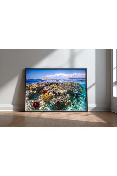 KEYFHOME Mayotte The Reef Μαύρο Πλαίσιο MDF Πίνακας Αφίσα Σαλόνι Διακόσμηση Τ...