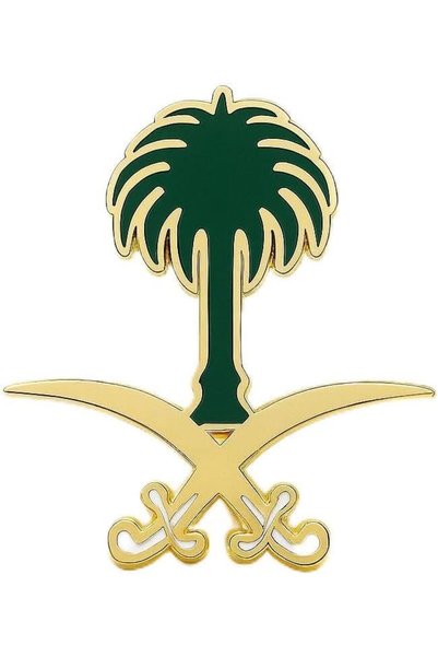 Generic دبوس شعار المملكة العربية السعودية، بروش مغناطيسي - أخضر وذهبي