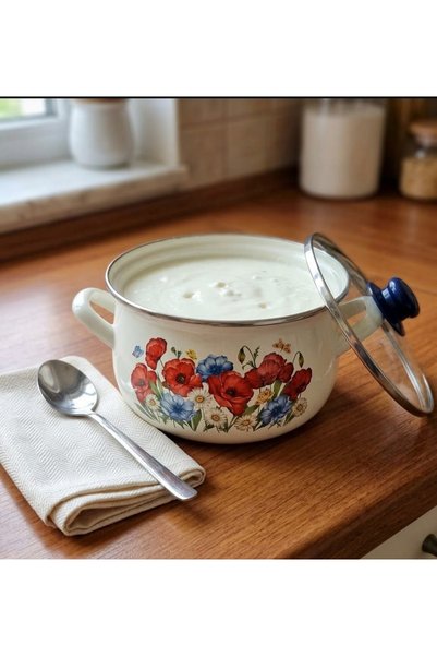 EMAYE EVİM 20 cm 3 Liter Geli̇nci̇k Enameled Pot