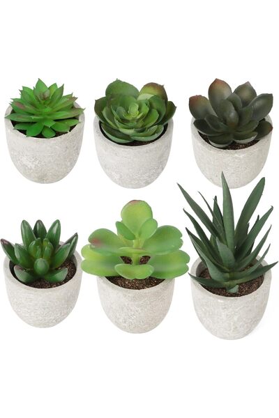 Generic 6 نباتات اصطناعية صغيرة في أصص، نباتات عصارية مزيفة صغيرة في أصص لتزي...