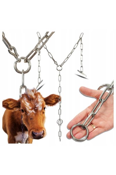jan Lanț de legat bovine, JAN, diametru 6mm, galvanizat, rezistență 2300kg, c...