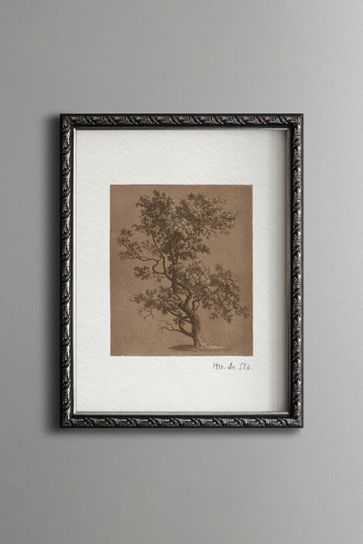 epiqart Botanical Tree Illustration on White Background - Vintage Patterned P...