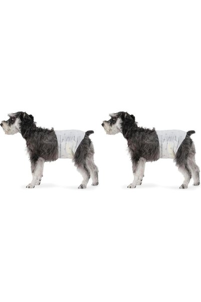 Generic Male Dog Wrap, Disposable Diapers, Medium, Pack of 60, White