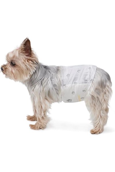Generic Male Dog Wrap, Disposable Diapers, X-Small, Pack of 30, White