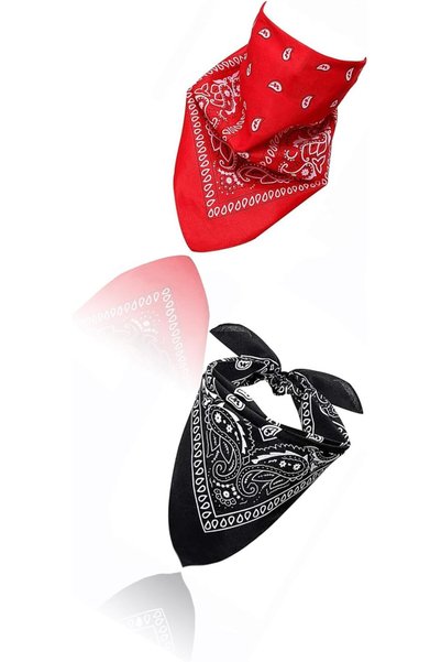 Generic 2PCS Paisley Bandanas - Pirate Head Scarf for Men and Women - Versati...