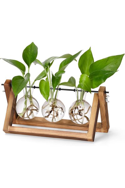 Generic محطات تكاثر النباتات، حوض نباتات مكتبي مع حامل خشبي عتيق، هدايا لمحبي...