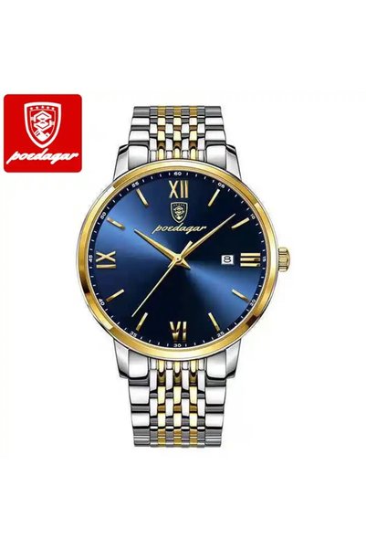 Bluejw POEDAGAR Luxury Auto Date Wrist Watch for Men 826 Silver Blue Stainles...