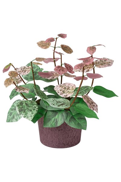 IKEA SMÅTÄRNA Artificial potted plant - paper/Asiatic jasmine 10 cm