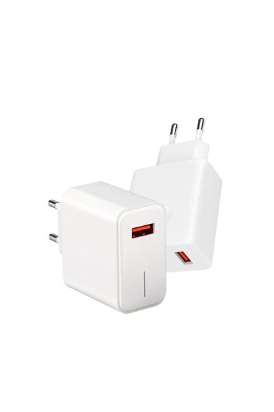 FONIX Network Charger, USB/Type-C Power Cable, Fast Charge, 22W, 100-240V, White