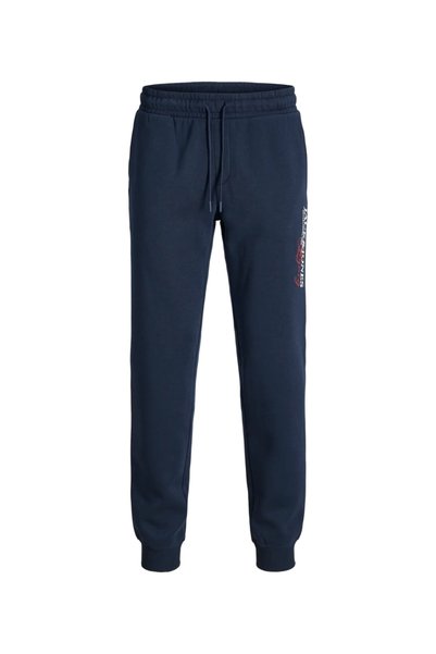 Jack & Jones Мъжки джогъри, средна талия, стандартна кройка, с щампа на лого,...