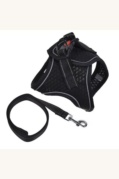Comerivo Lesa cu ham negru pentru caini, material rezistent, marimea M 120cm
