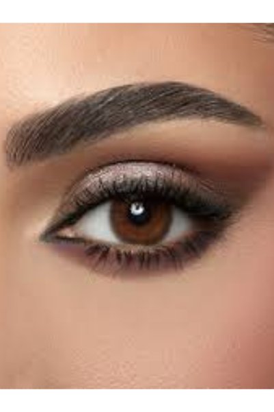 Amara Espresso Monthly Disposable Color Contact Lenses 2 Pack