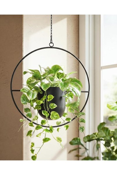 Bamworld Planter Oval | 1